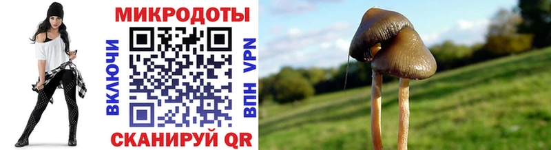 Галлюциногенные грибы Psilocybe  MEGA онион  Мелеуз 