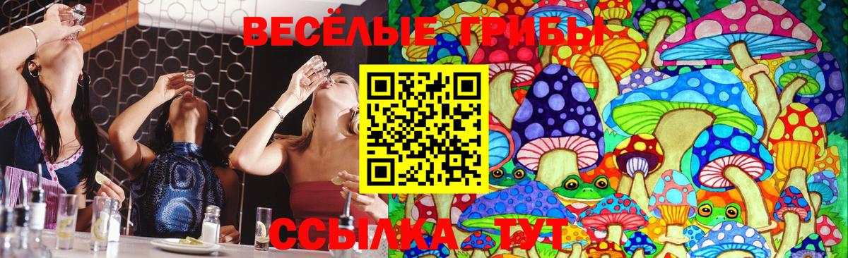 Псилоцибиновые грибы Psilocybine cubensis  Псилоцибиновые грибы мухоморы  Мелеуз  Вход с VPN 